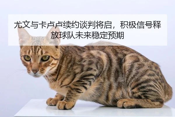 尤文与卡卢卢续约谈判将启，积极信号释放球队未来稳定预期